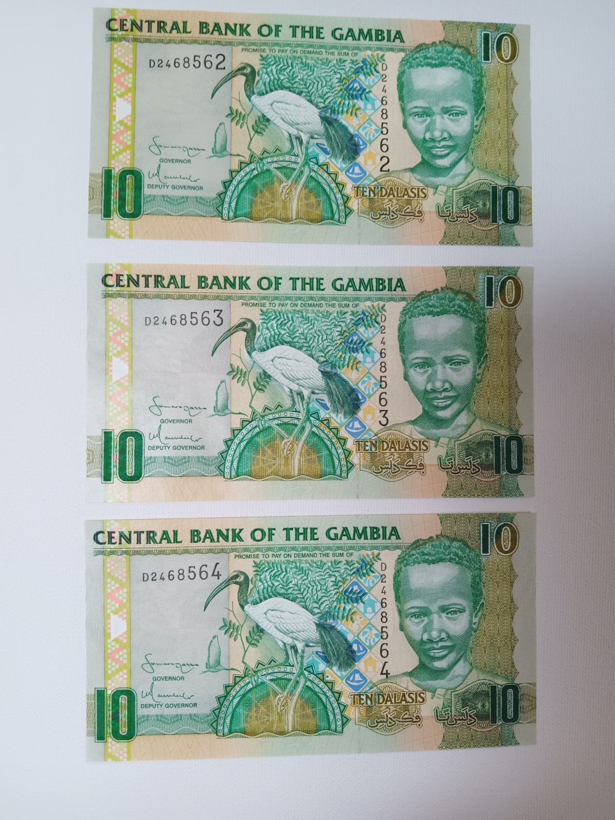 GAMBIA 10 DALASIS 2001-2005 lot of 3 consecutive #s UNC in protective  sleve