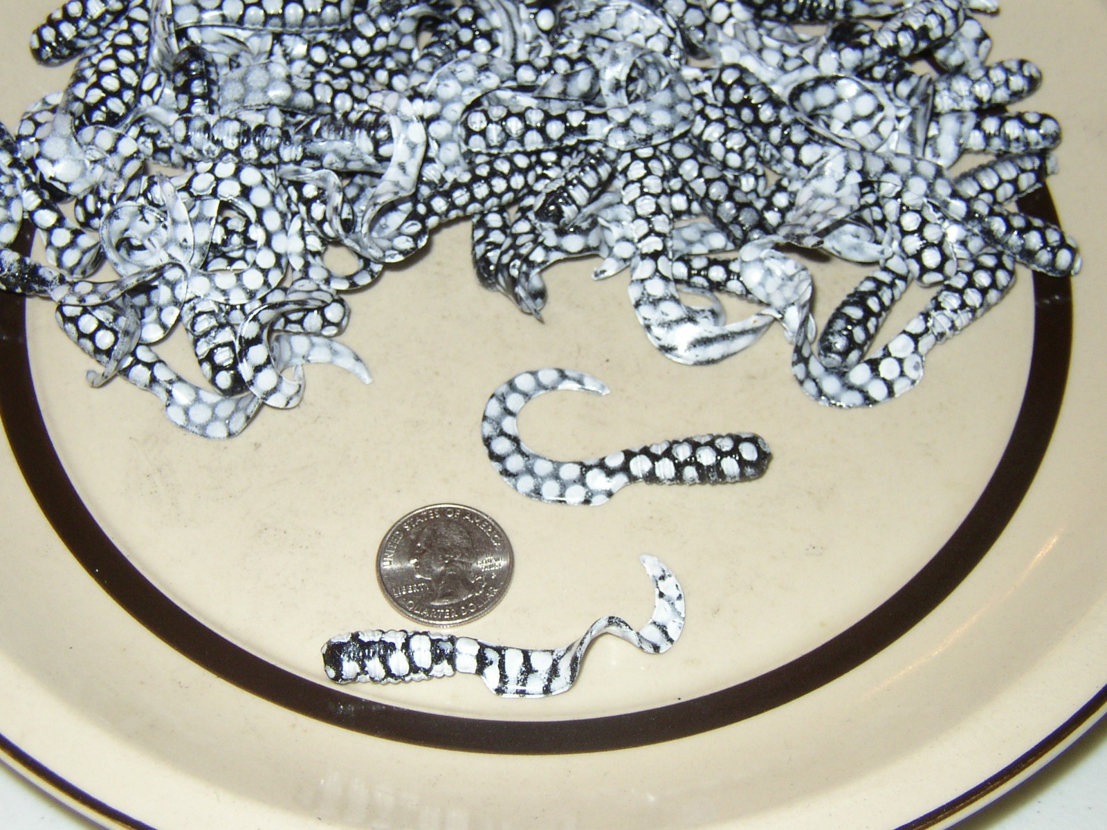 3 "  CURL TAIL GRUBS 25 BODIES in BLACK with WHITE  SPOTS