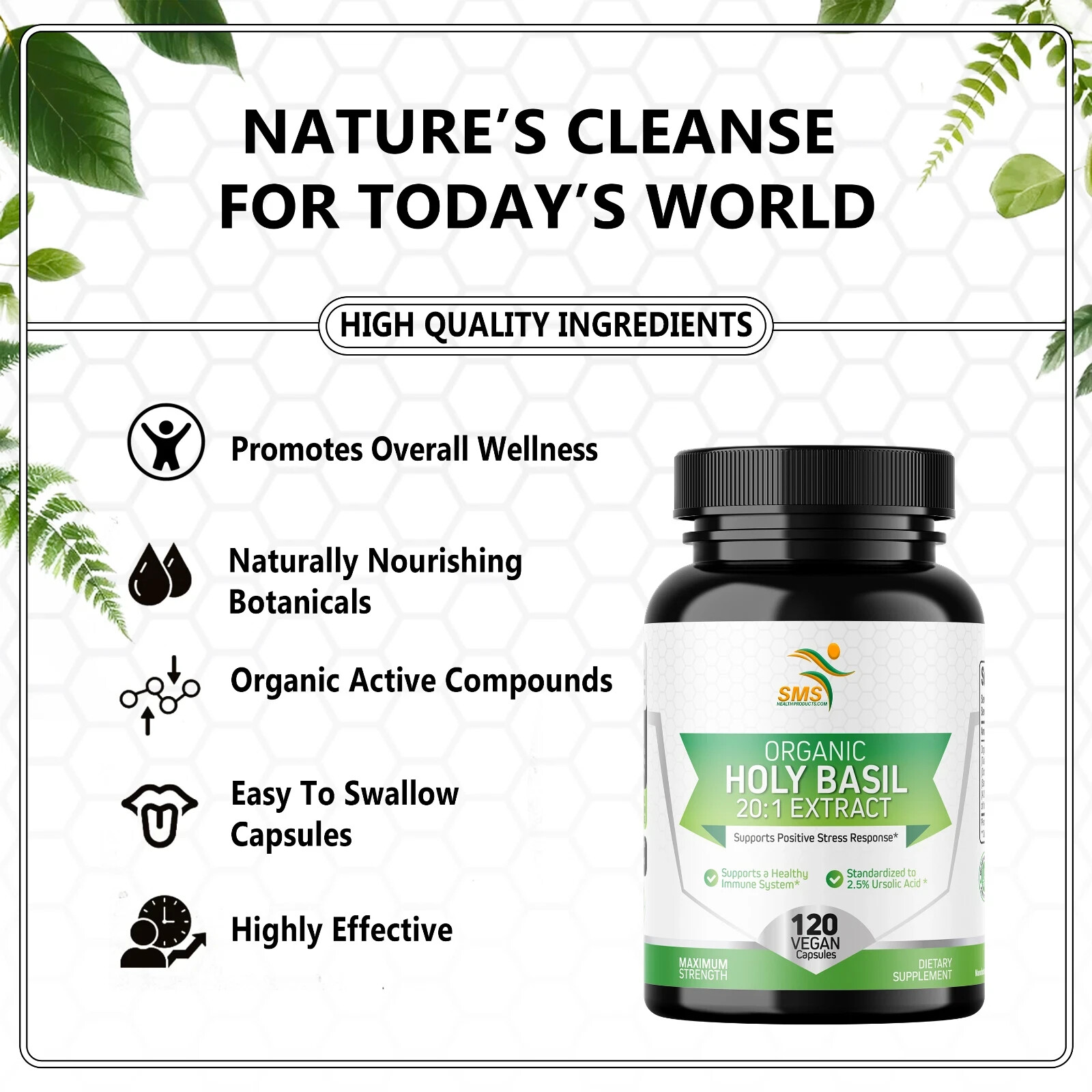 Holy Basil 20:1 Extract 2.5% Ursolic Acid Organic 120 Veg Capsules Made in USA