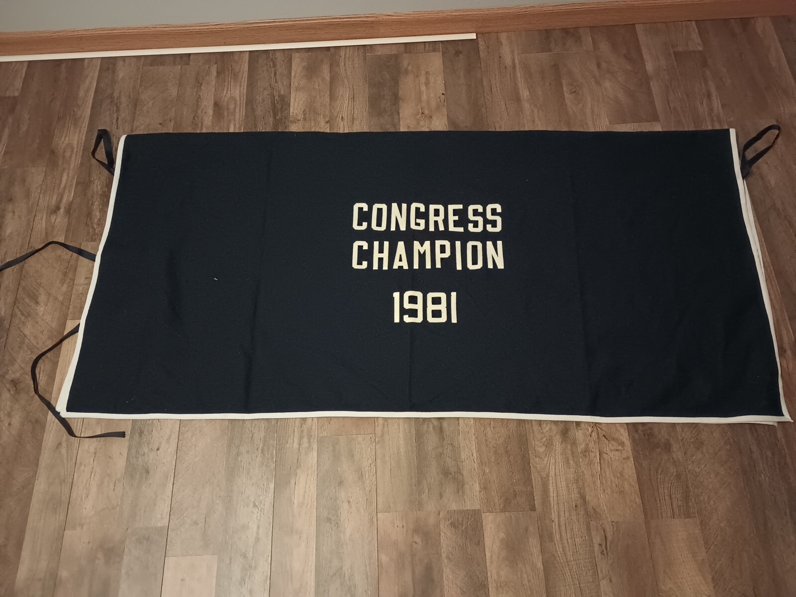 New/Unused Vintage Horse Cooler Sheet Blanket Congress Champion 1981