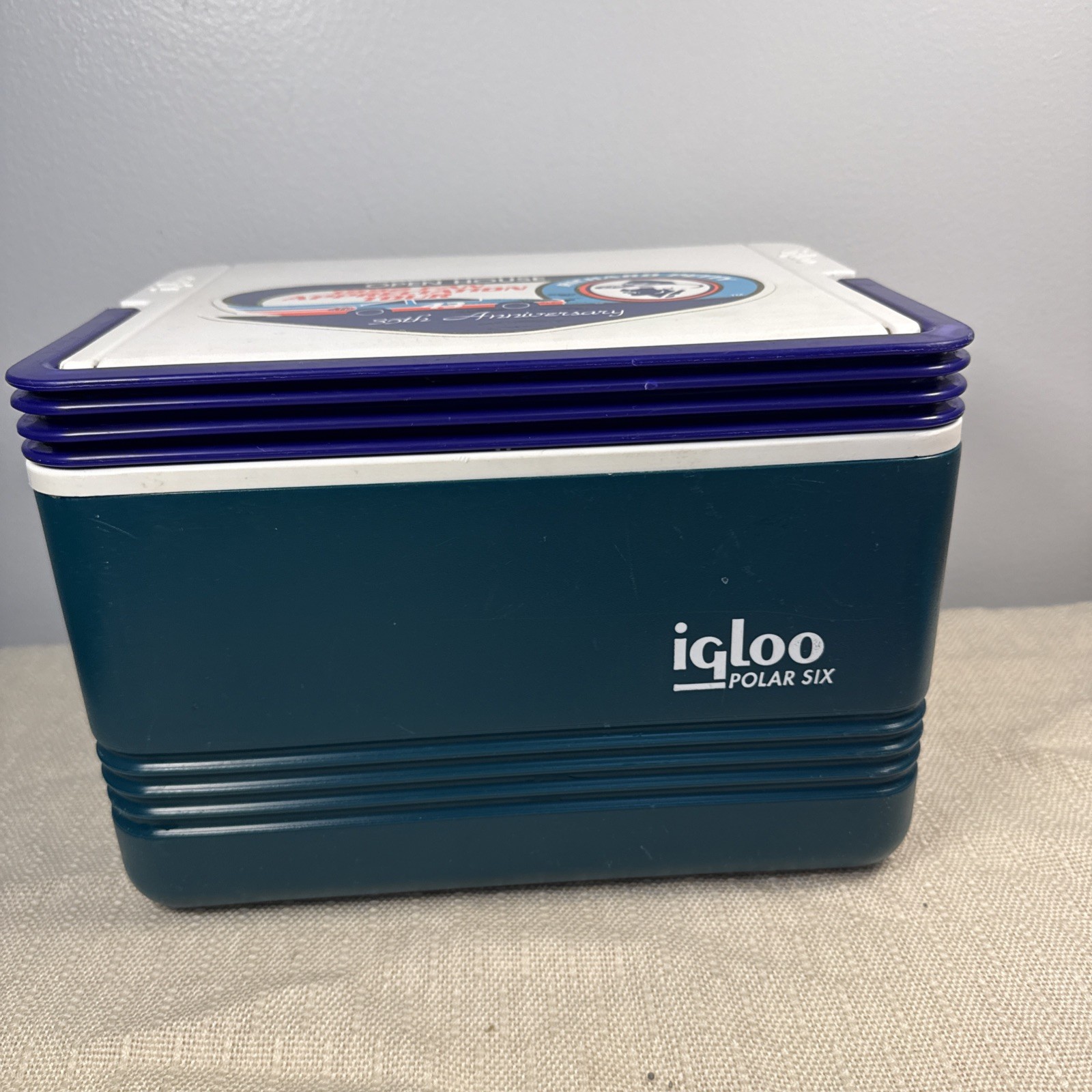 Vintage Igloo Polar Six Teal Green Purple Handle Cooler Lunch Box Hard Plastic