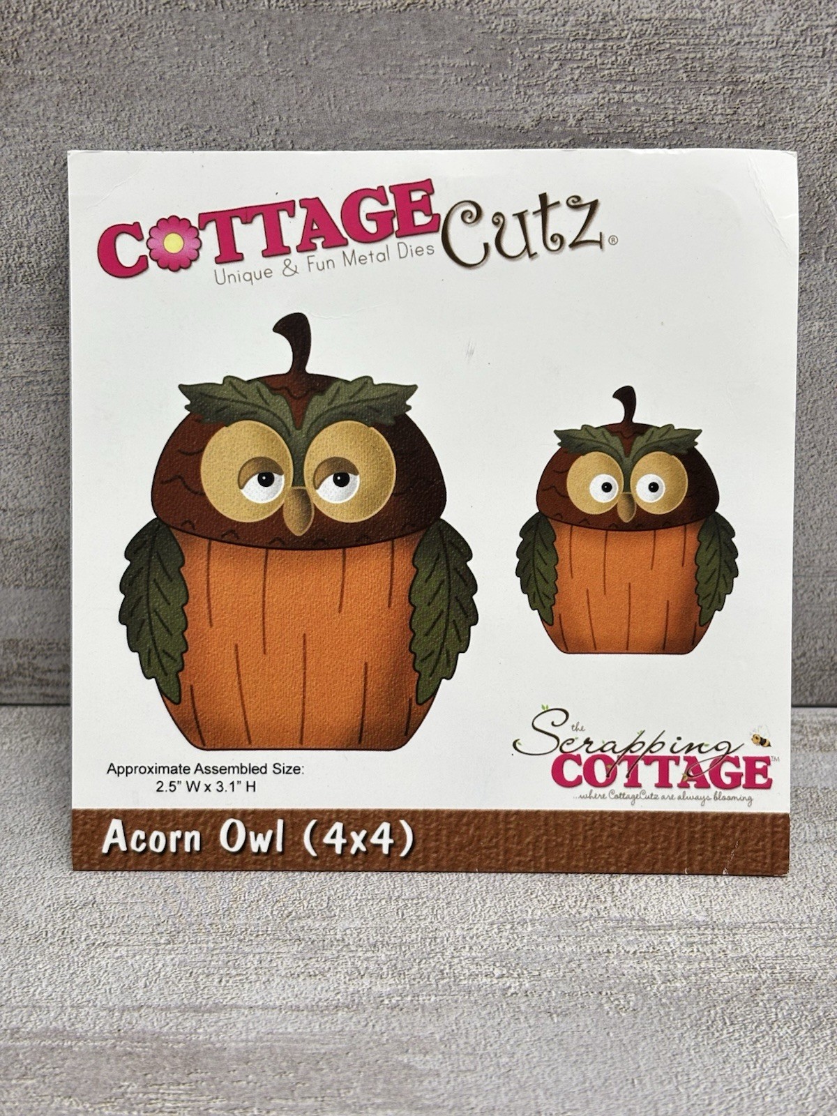 Cottage Cutz Steel Die - Acorn Owl - 4 X 4 NEW Unique & Fun Owls