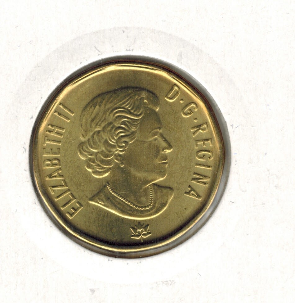 2017 Our Achievements Loonie