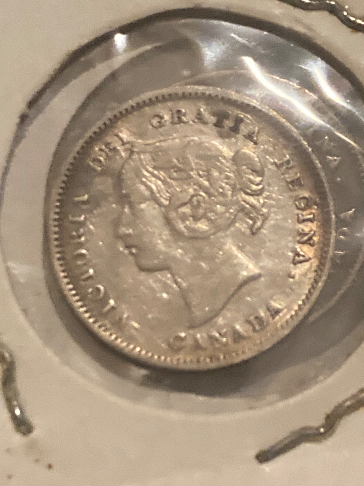 1901 Canada 5 Cents Silver Coin KM# 2