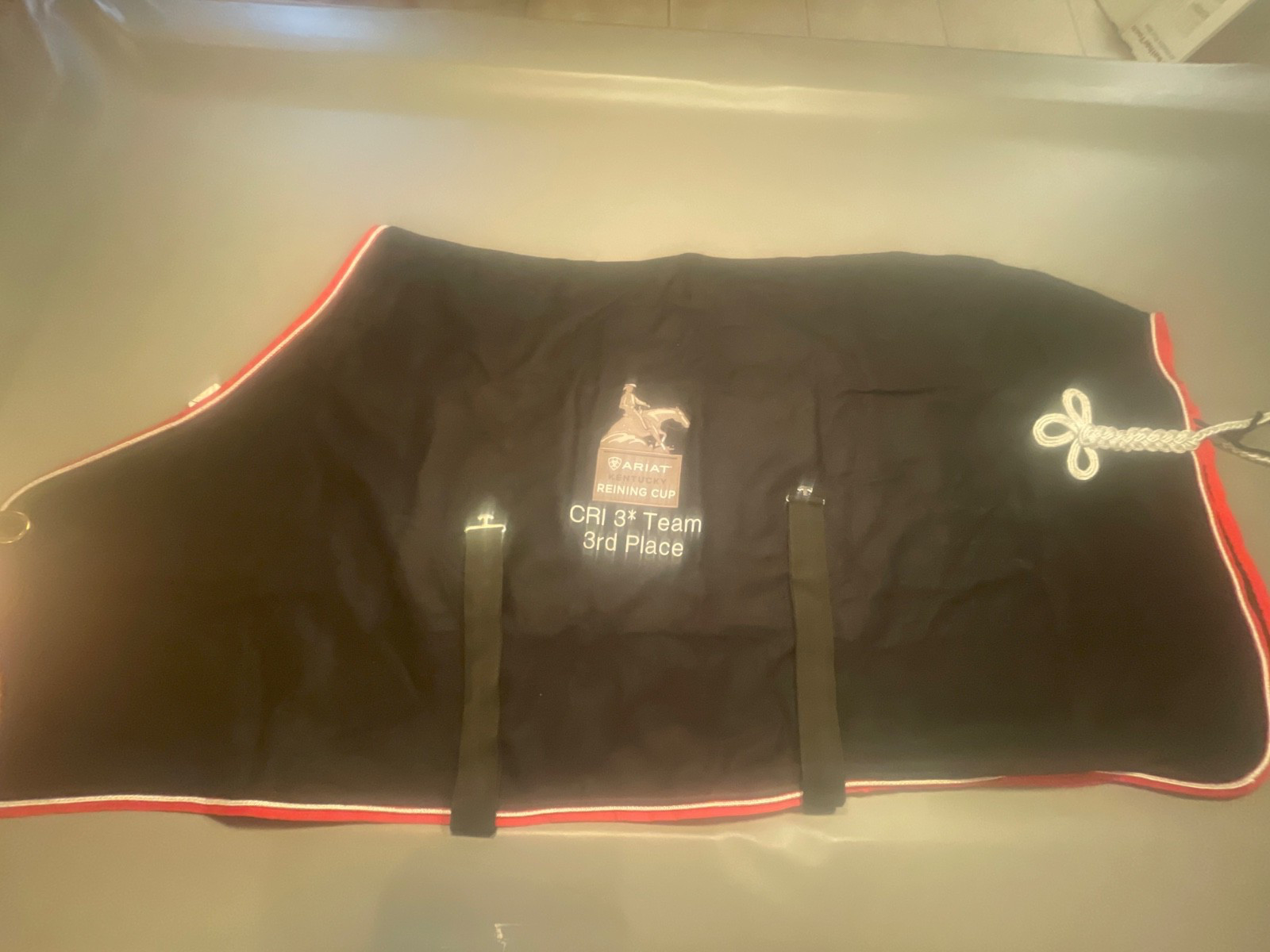 Reining horse award cooler