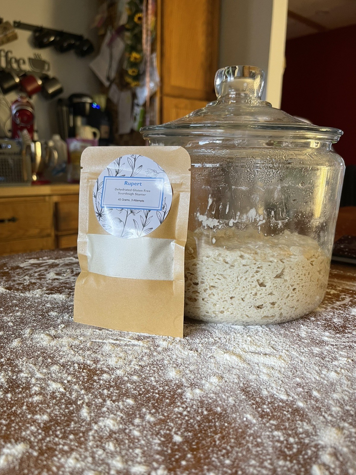 dehydrated gluten free sourdough starter