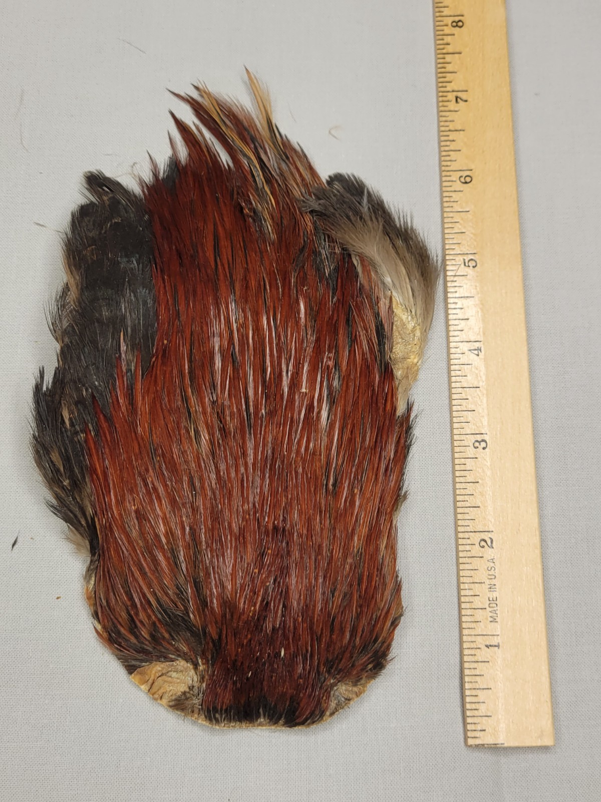 Lot 21,  Grade B,   Natural India Rooster Streamer Neck Cape Feathers