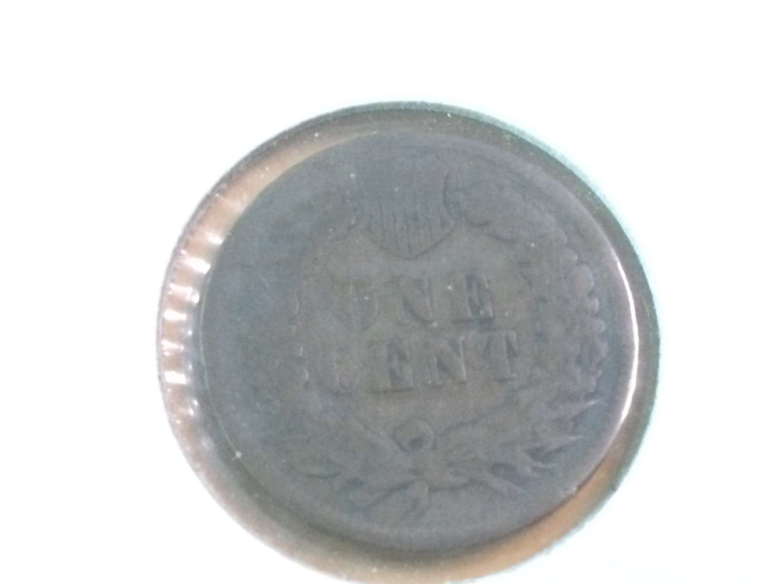 * 1902 P Indian Cent