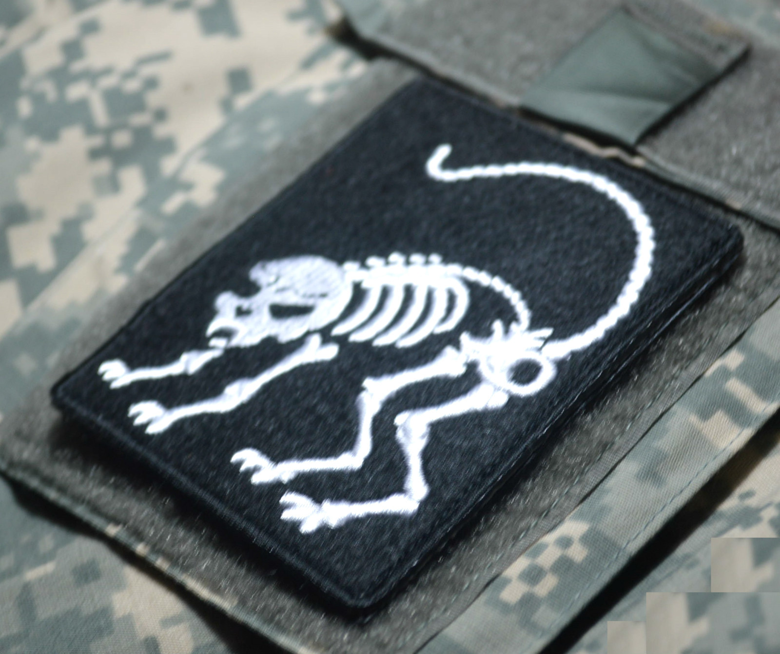 OIF IRAQI FREEDOM GREEN ZONE BAGHDAD WAR TROPHY vêlkrö PATCH: ZOMBIE CAT SKULL