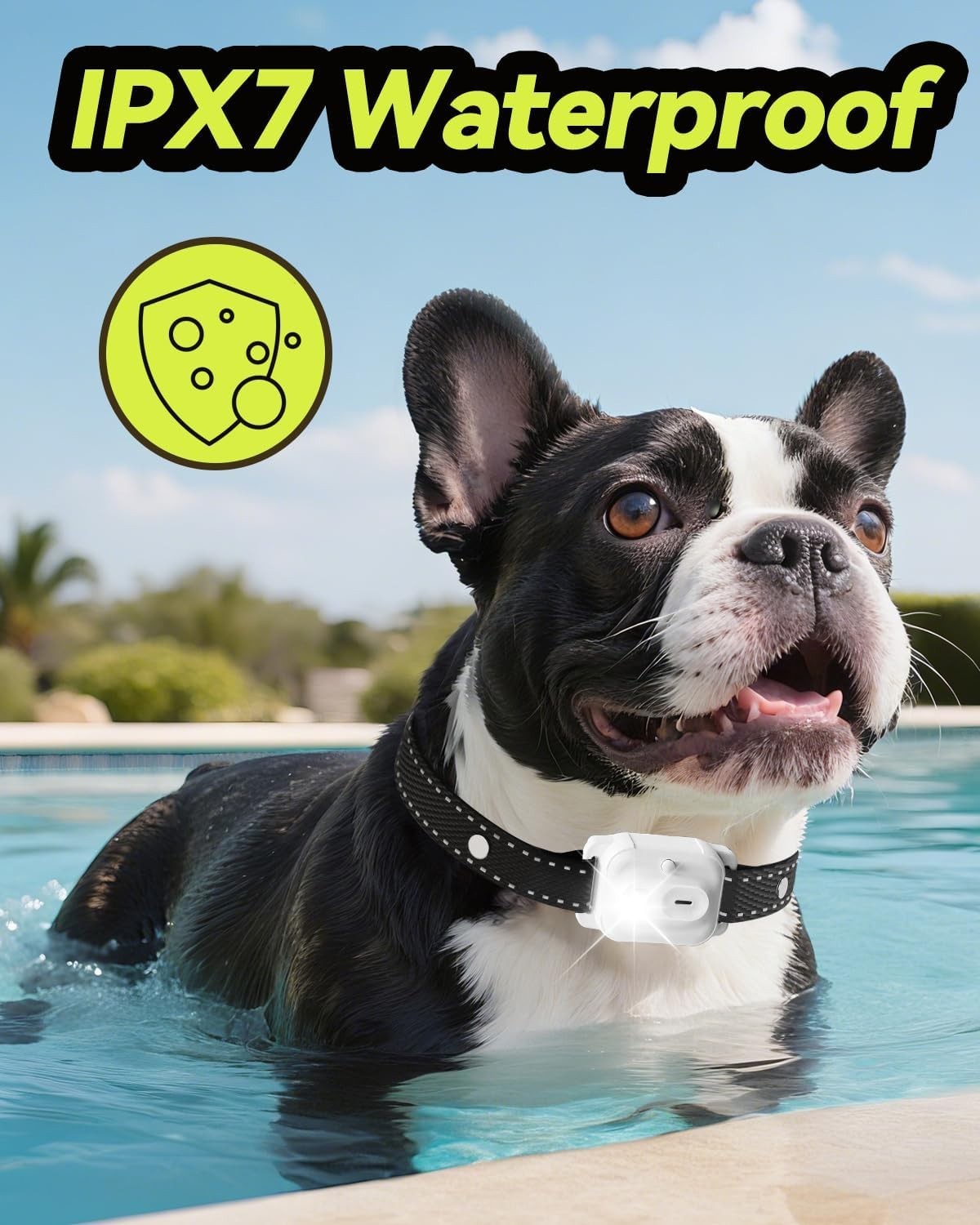 Professional Dog Training Collar with Remote & 3300FT Range - Waterproof & LED