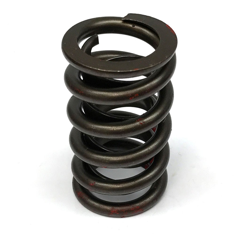 Renegade Valve Spring Set 99539-16; Single, 155 lbs at 1.750 in., 1.260 in. OD