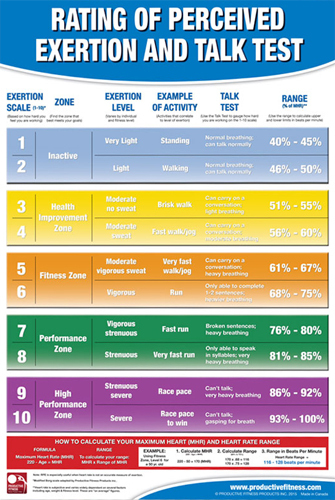 RATING OF PERCEIVED EXERTION Cardio Fitness Gym Wall Chart 24x36 POSTER