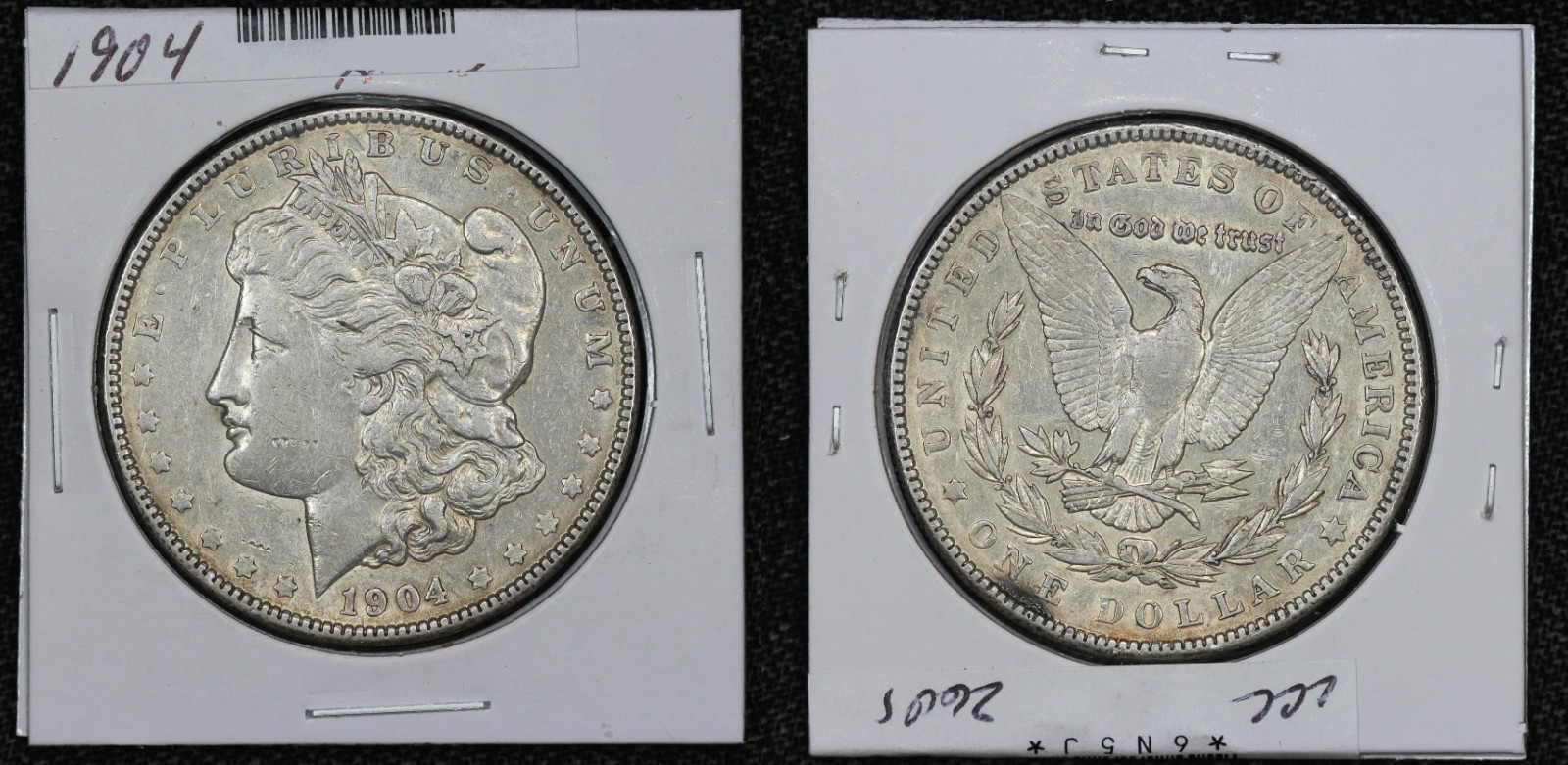 1904 Morgan Dollar XF+ 6N5J