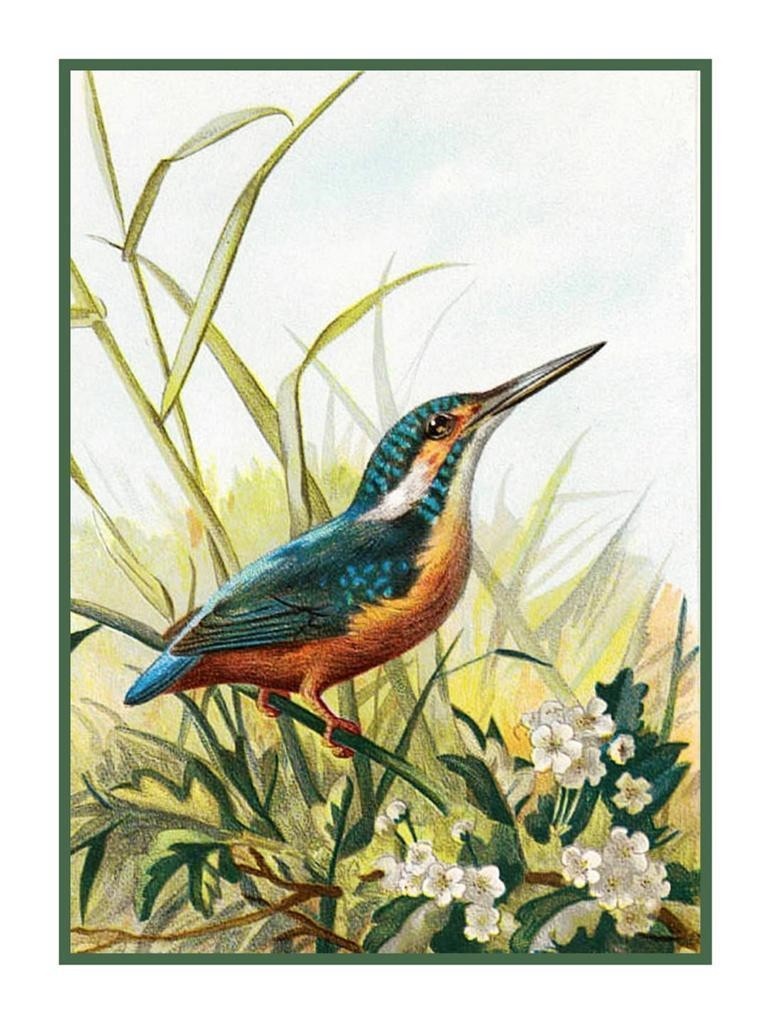Kingfisher Bird By Archibald Thorburn Counted Cross Stitch Pattern