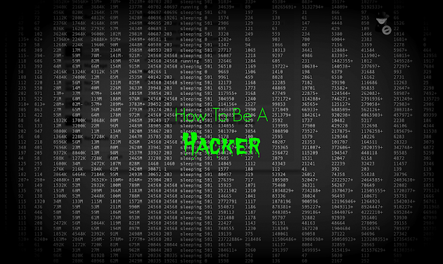LEARN TO HACK ALL TOOLS YOU NEED FOR YOUR PC - 2500+TOOLS HACK ANY PC BRUTE L@@K