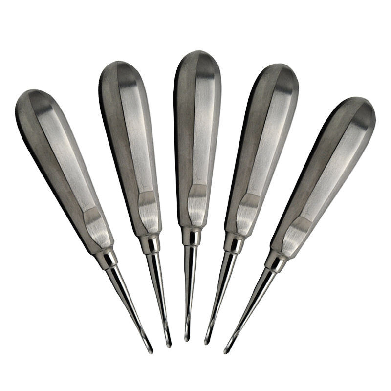 5x Dental Root Tip Elevator Luxating Extraction Stainless Steel Straight Luxator