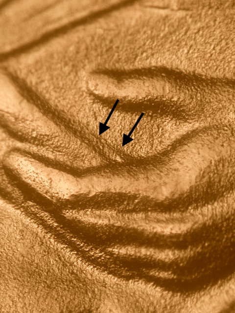 "BEST OF" 2009 D FY WDDR-003 Doubled Die Gem BU Satin Finish Lincoln Cent#1