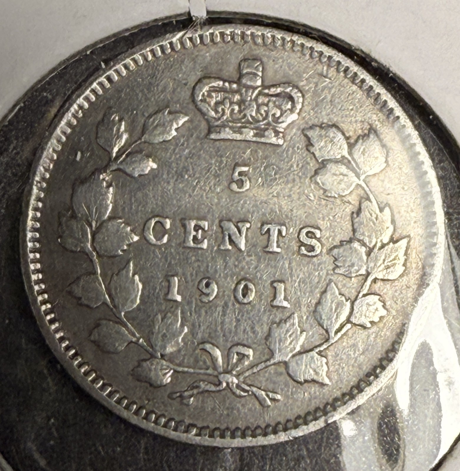 1901  Canadian 5ct Silver, XF Det.  (18612)