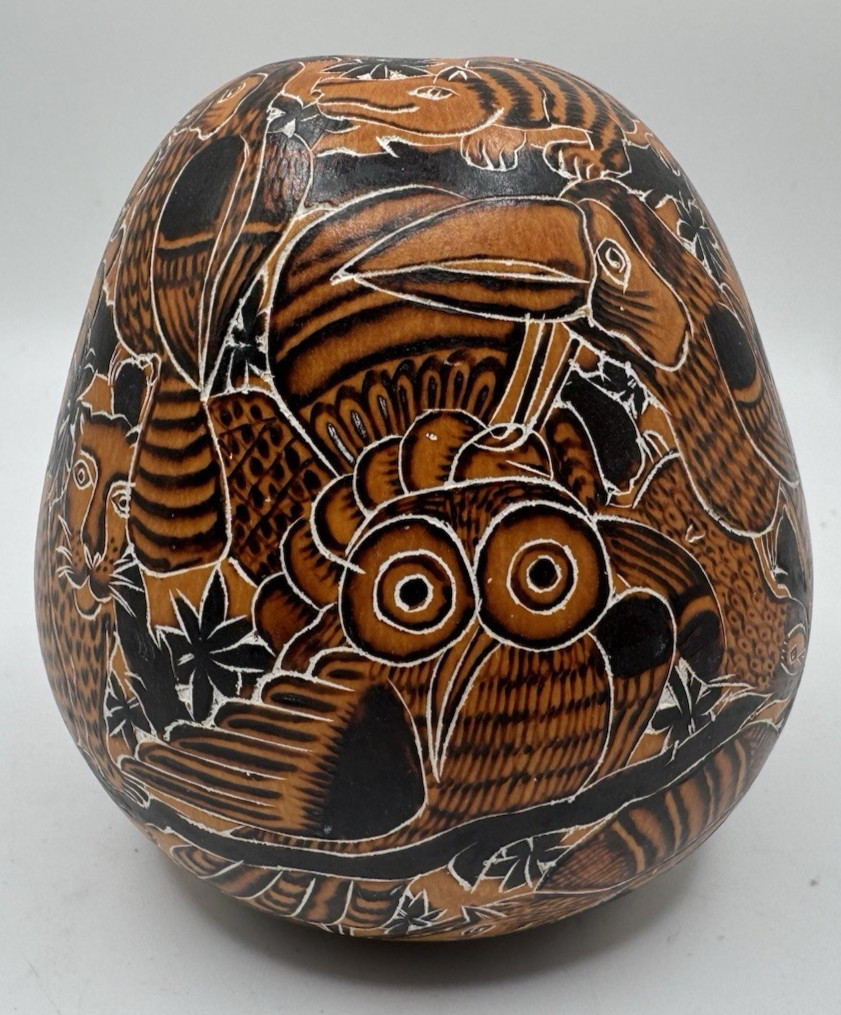 Vtg Small Folk Art Gourd Musical Shaker Instrument Animals Toucan Owl Aardvark