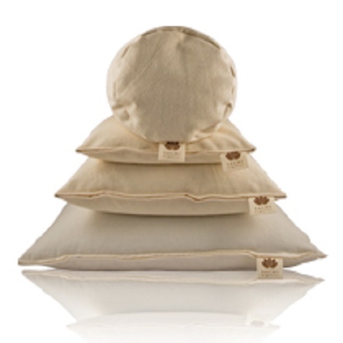 Organic Cotton Bed Pillow SACHI Organics USA Natural Standard Queen King Eco
