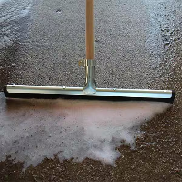 Ettore Wipe'n 22 in. Dry Floor Squeegee