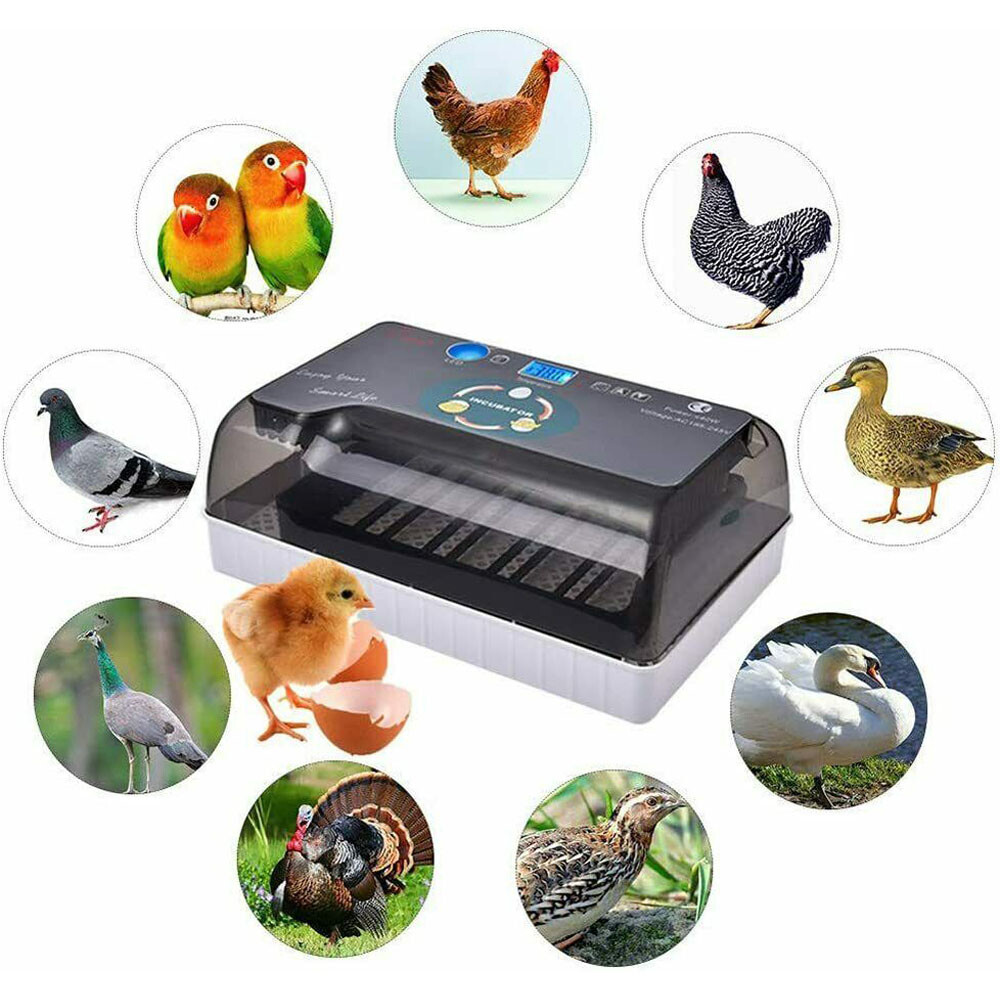 12 Eggs Incubator Automatic Eggs Hatcher For Chicken Quail Poultry Hatching US