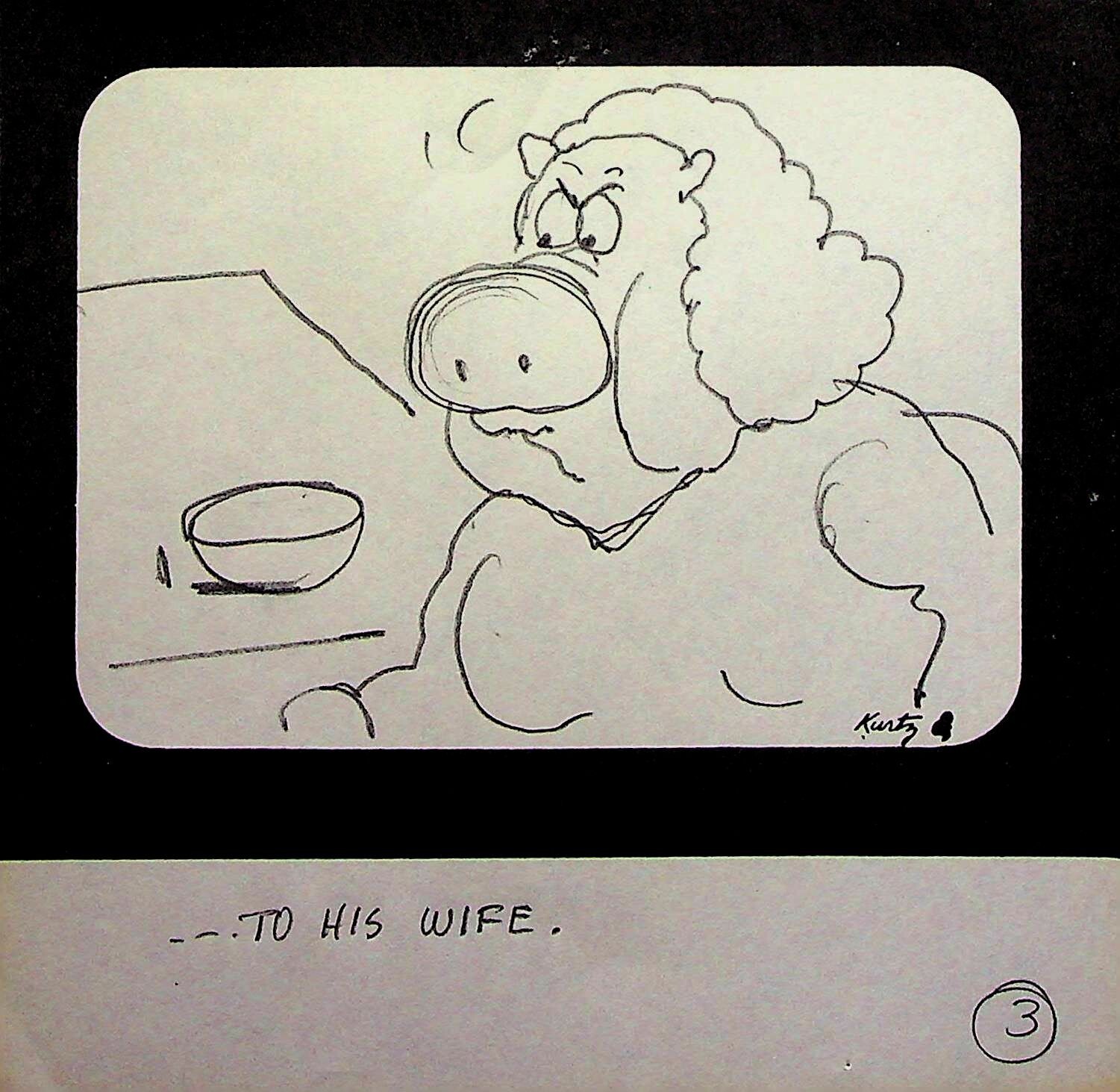 Its No Bullshit George Carlin Production BOB KURTZ Hand Drawn Pencil Storyboard
