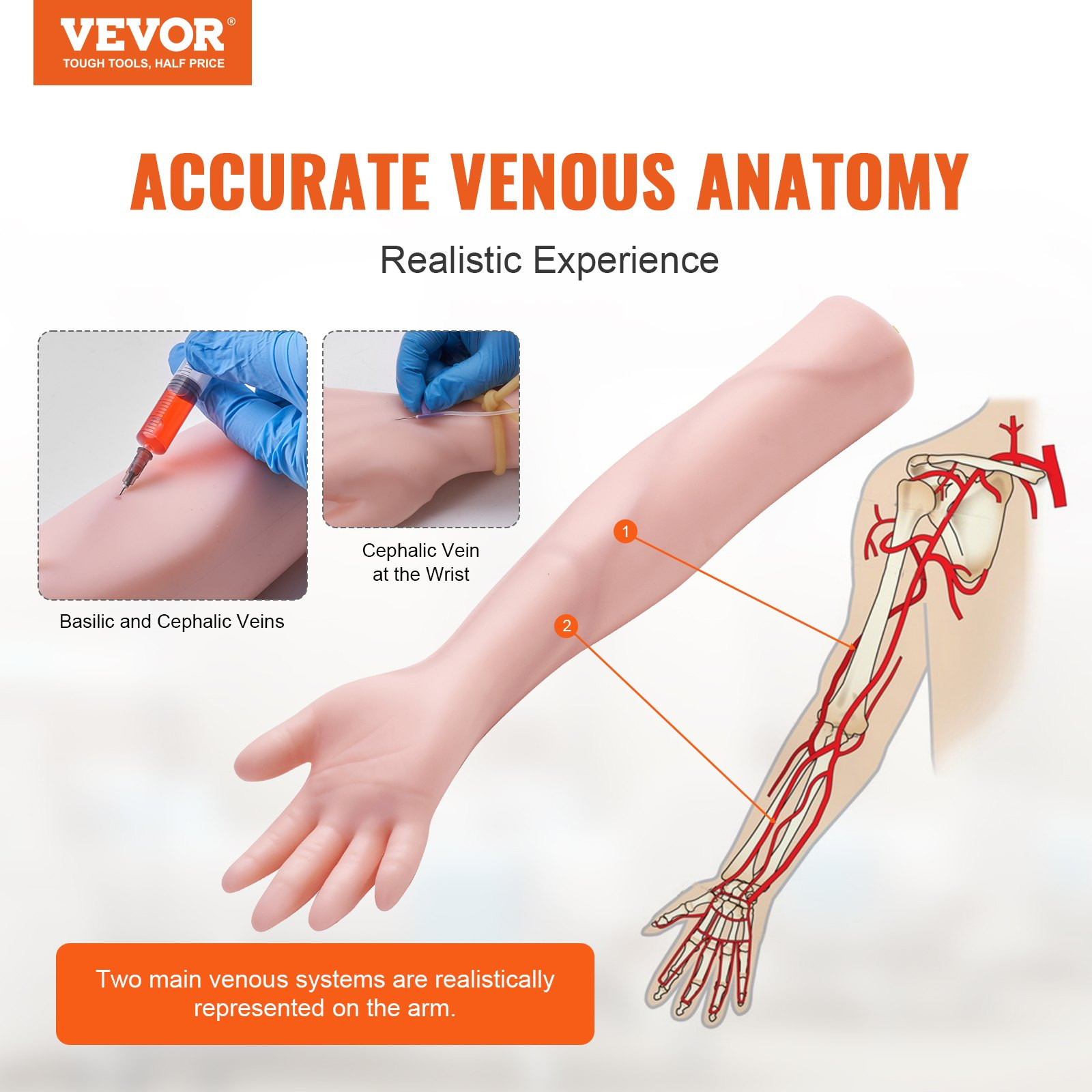VEVOR Phlebotomy Practice Kit, IV Venipuncture Intravenous Training Kit, High Si