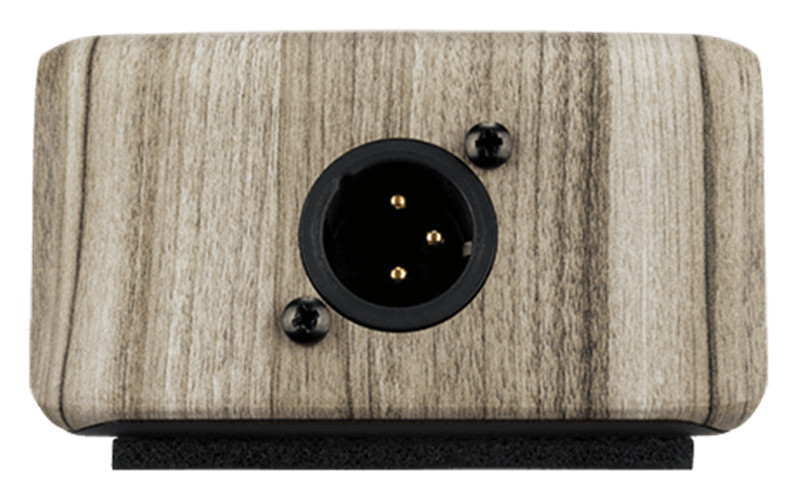 LR Baggs Align Active DI Acoustic Pedal