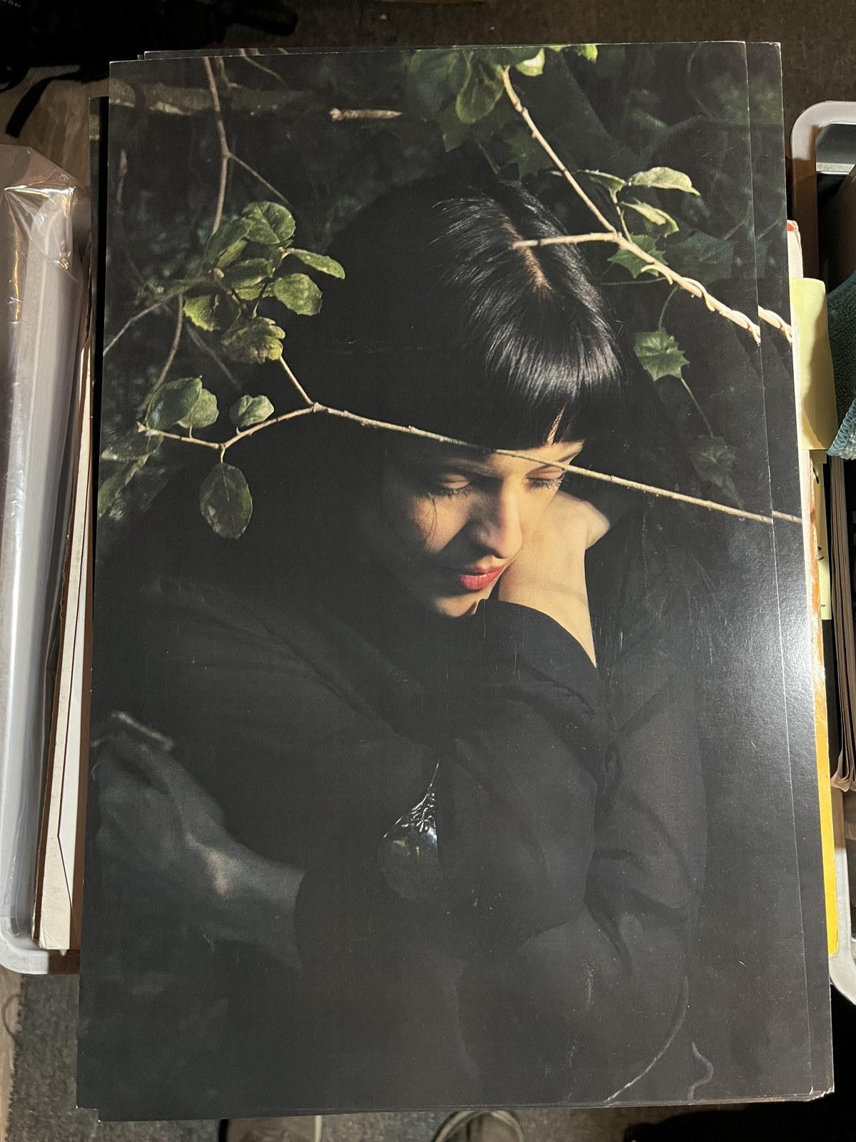 Maria Zardoya / Not For Radio - Melt 2025 Album Poster Litho 11" x 17" The Maria