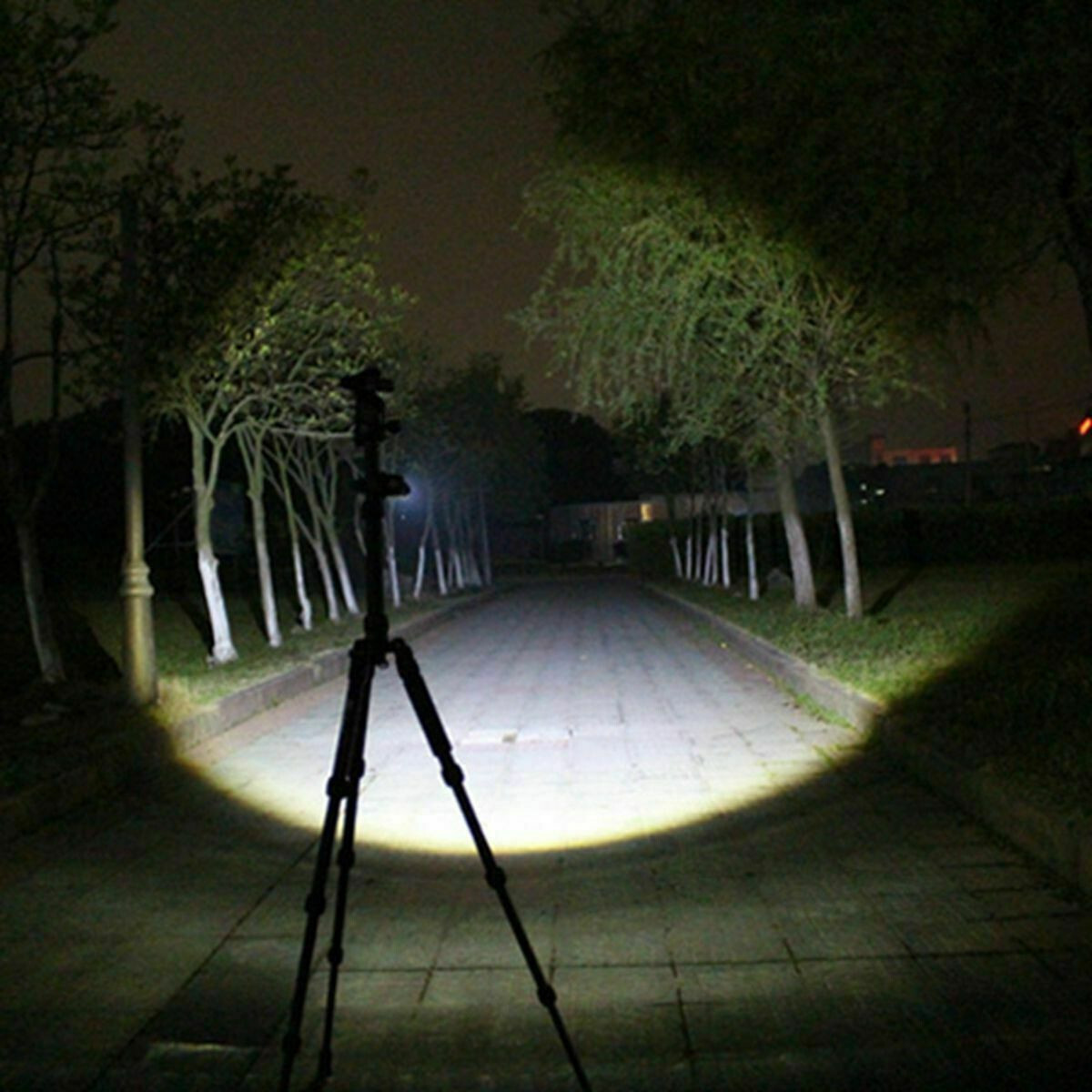 6PCS Mini LED Flashlight Torch Adjustable Focus Zoom Light Lamp