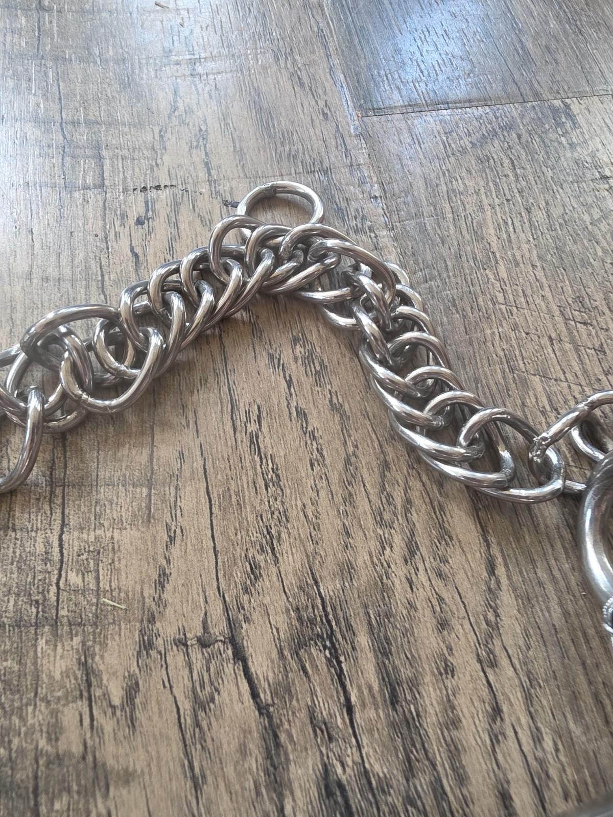 Horse Bit 5"