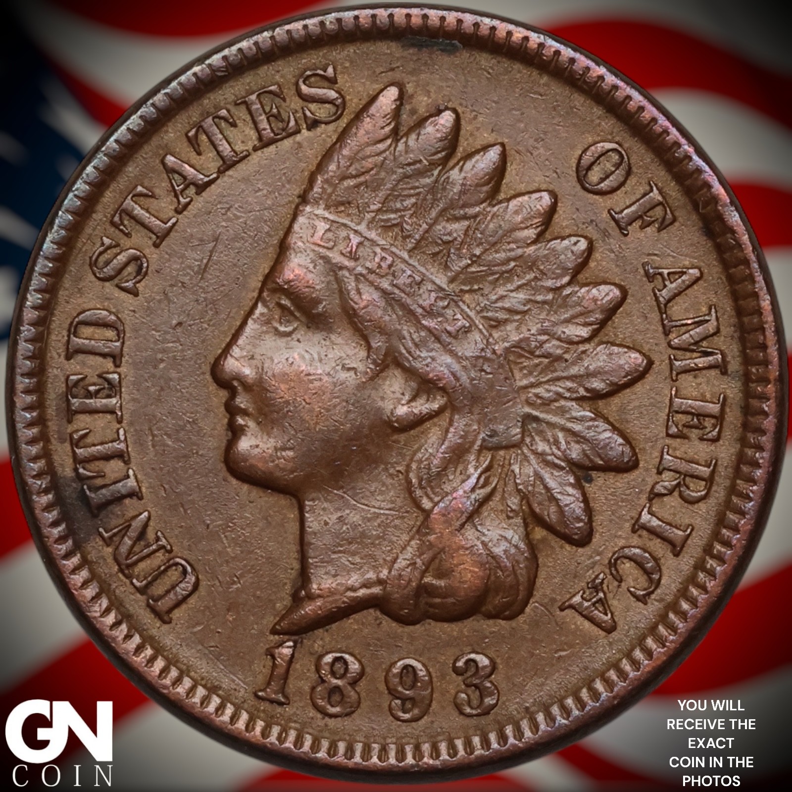 1893 Indian Head Cent Penny B1536