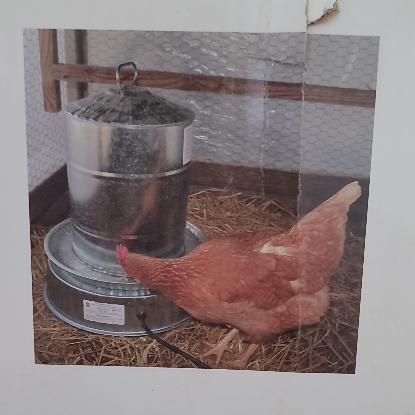 Farm Innovators HP-125 Heated Base Thermostatically Controlled for Chicken
