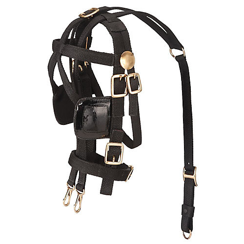 Tough1 Miniature Harness Bridle