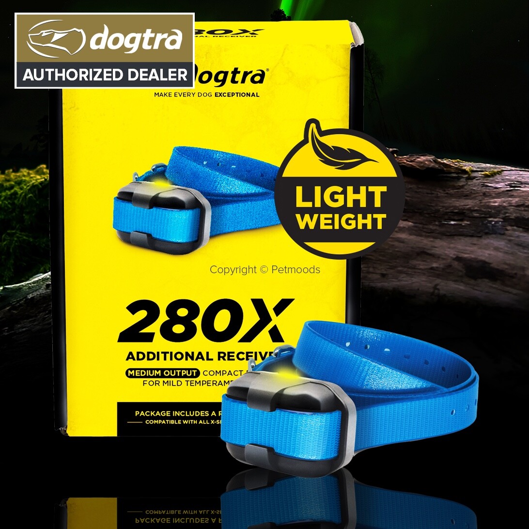 Dogtra 280X Blue Strap e-Collar Replacement, Additional Dog Receive 280x - ONLY