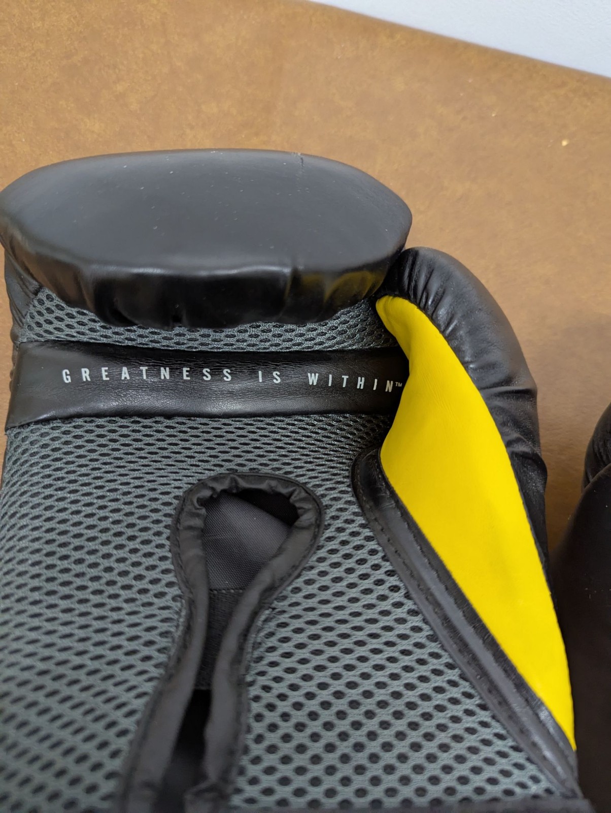 Everlast Elite Boxing Gloves 16oz EverShield Professional Training Sparring Gear