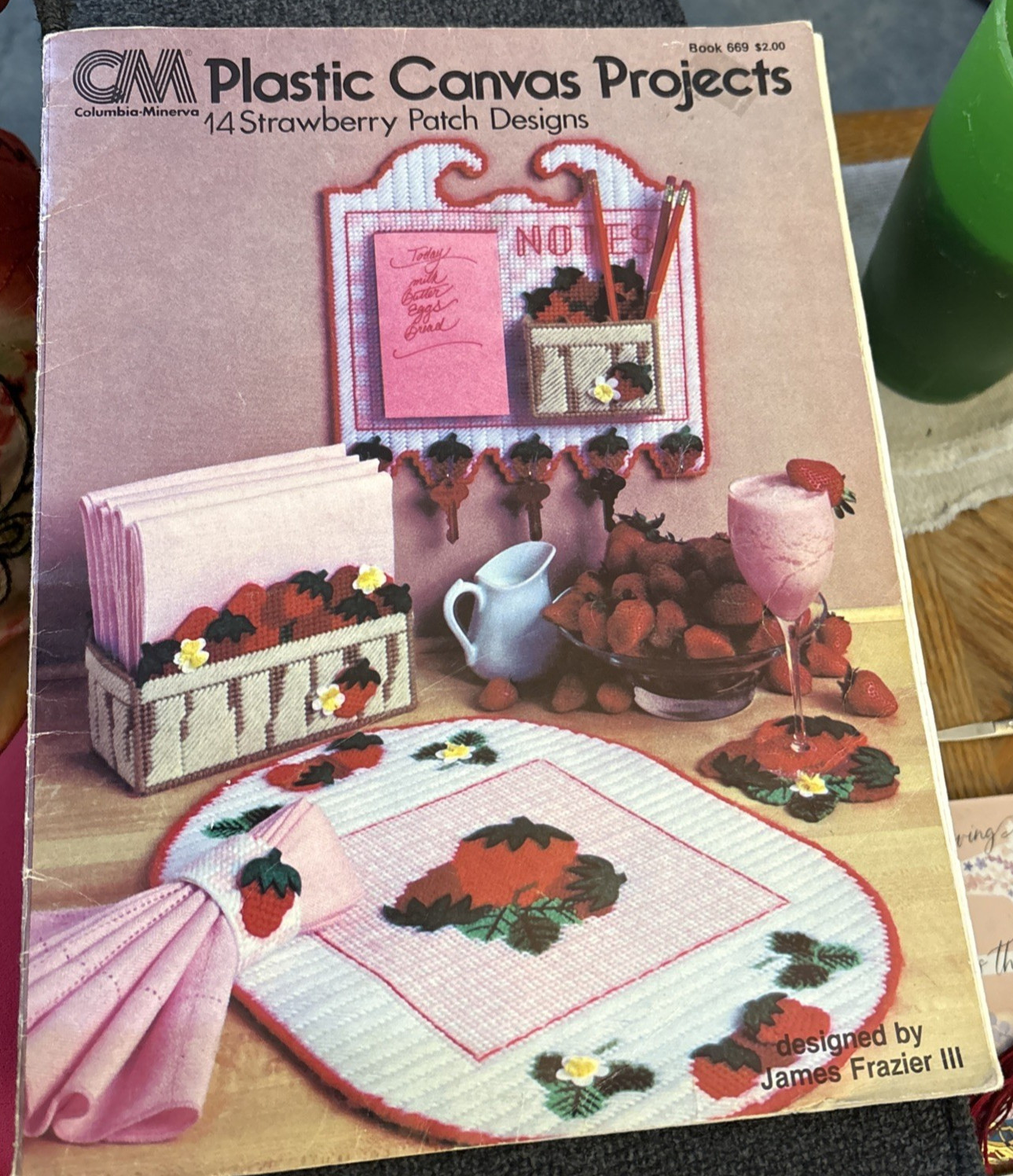 Vtg Rare Columbia-Minerva Plastic Canvas Projects 14 Strawberry Patch Design (2)