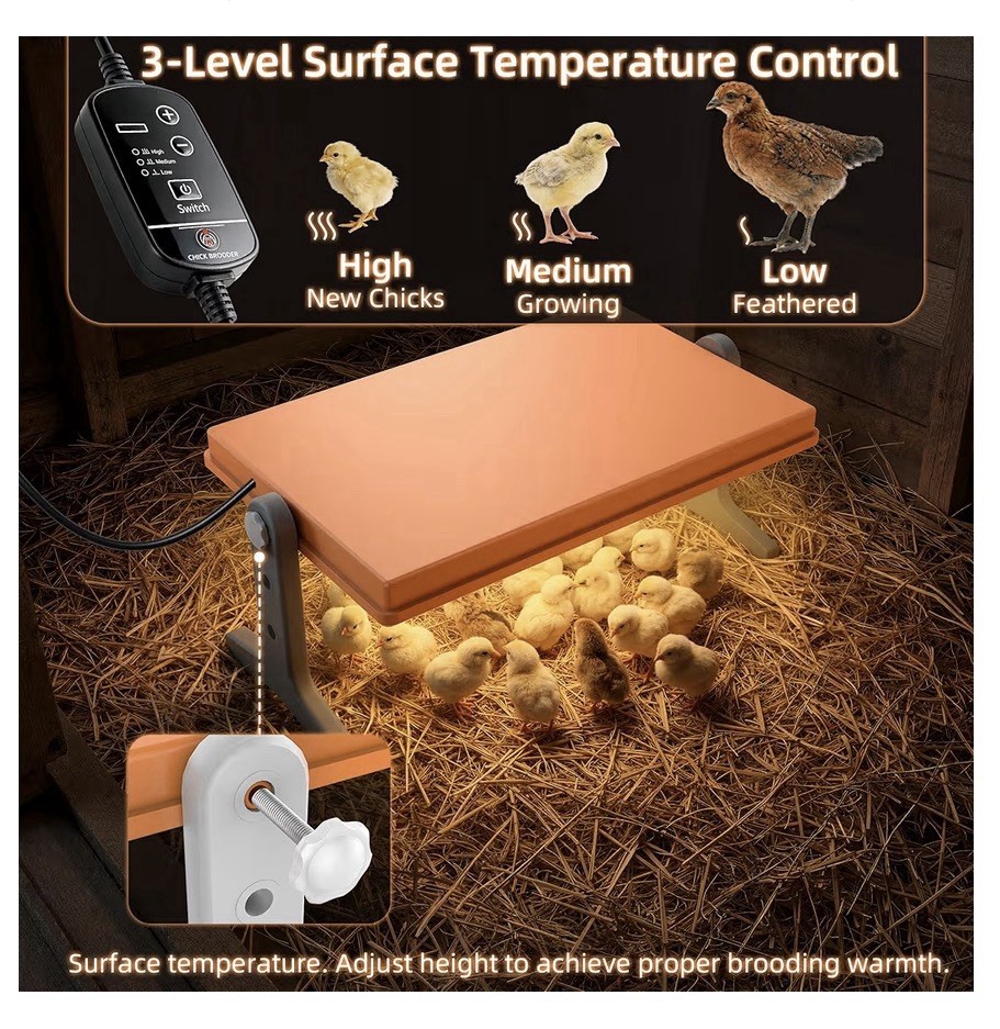 Chick Brooder Heater Plate 12x8 Inches. Adjustable Height And Temperature 🐣 New
