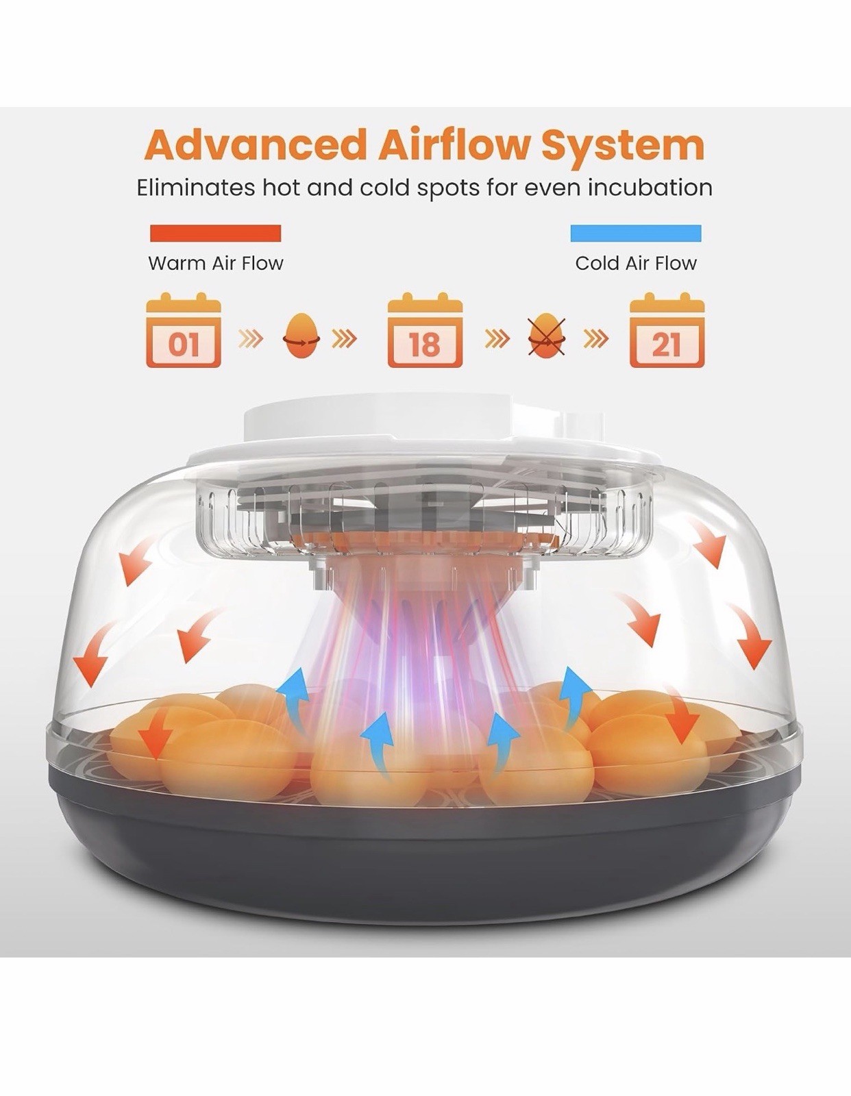 INNVELLO 18 Egg Automatic Incubator Turner Humidity Temperature Control