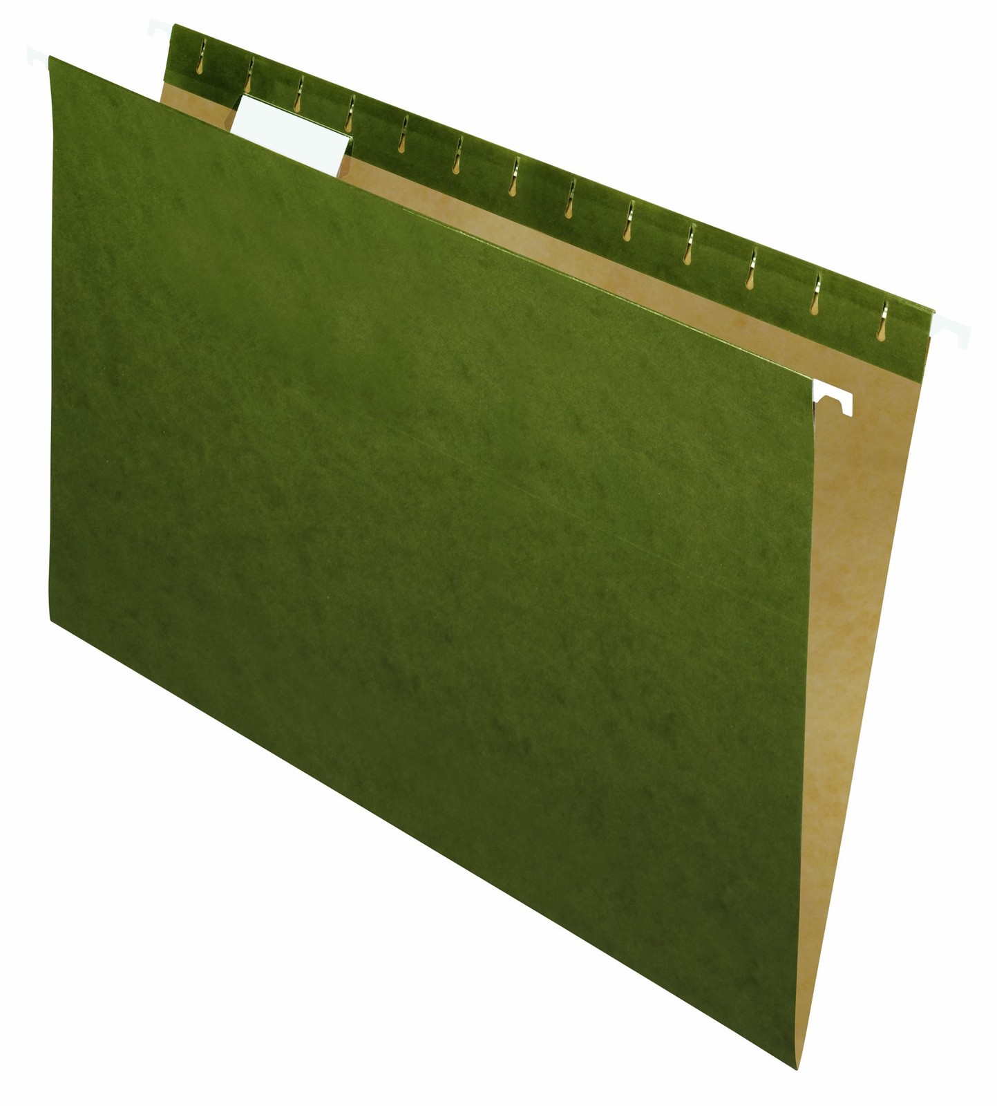 Island Hanging File Folder 1/5 Cut, Legal Size, Standard Green, 25 Count (373...