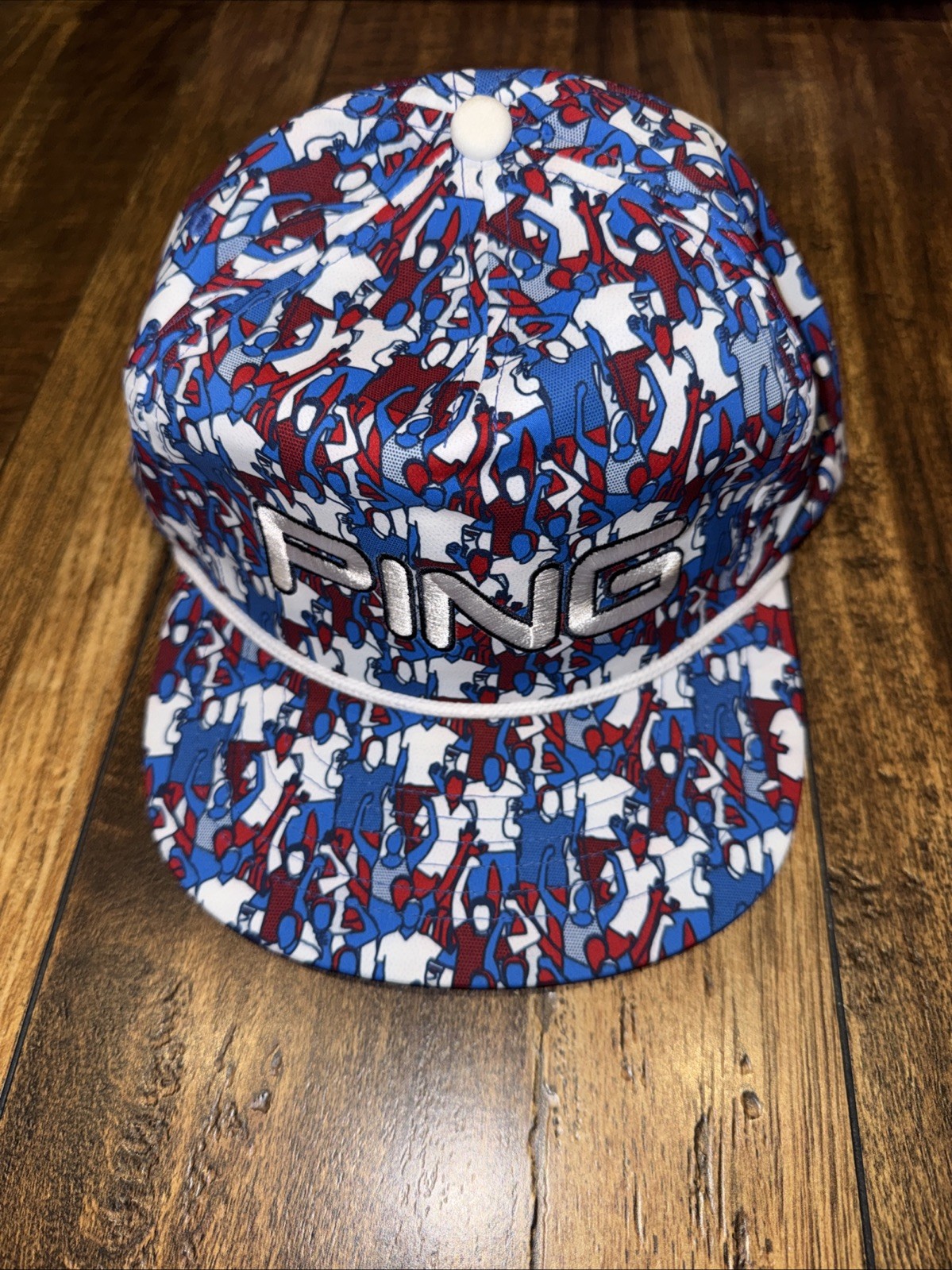 PING GALLERY CAP