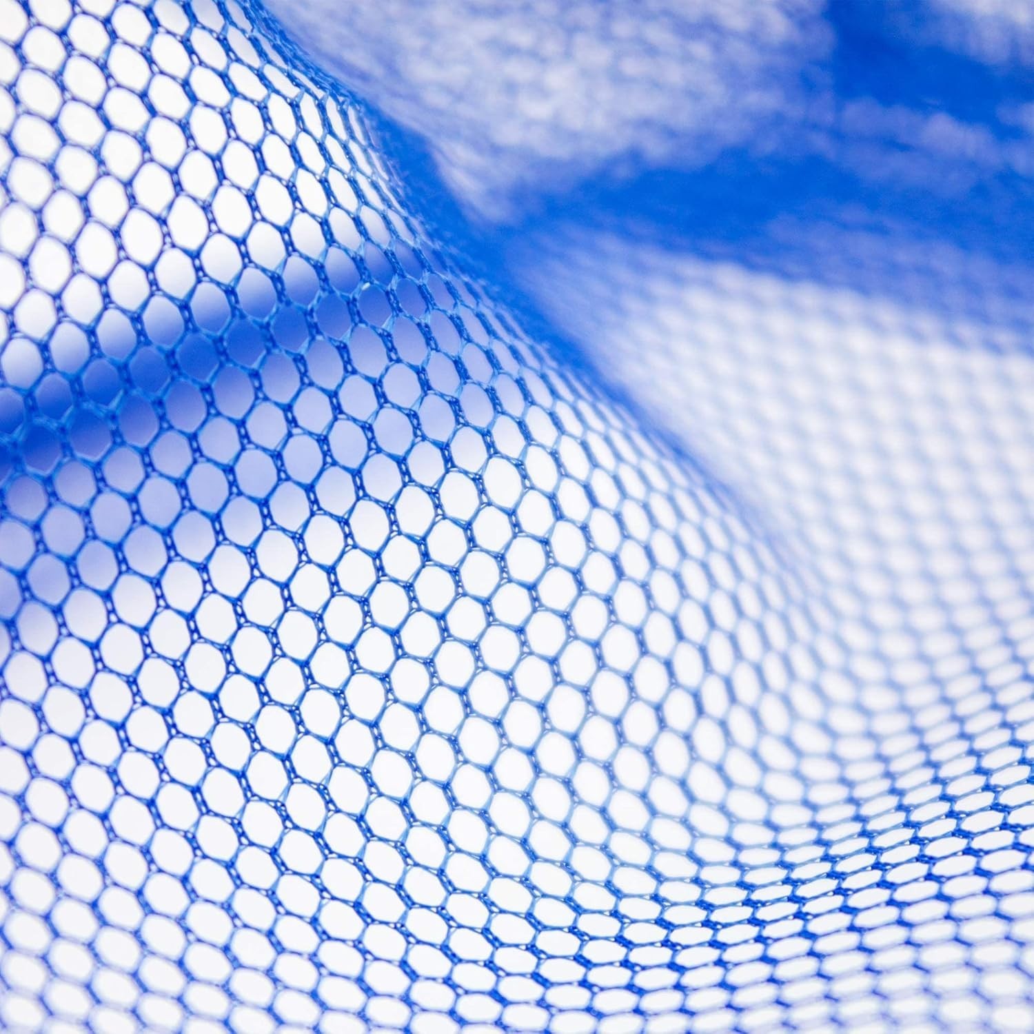 Quick Net for Fish