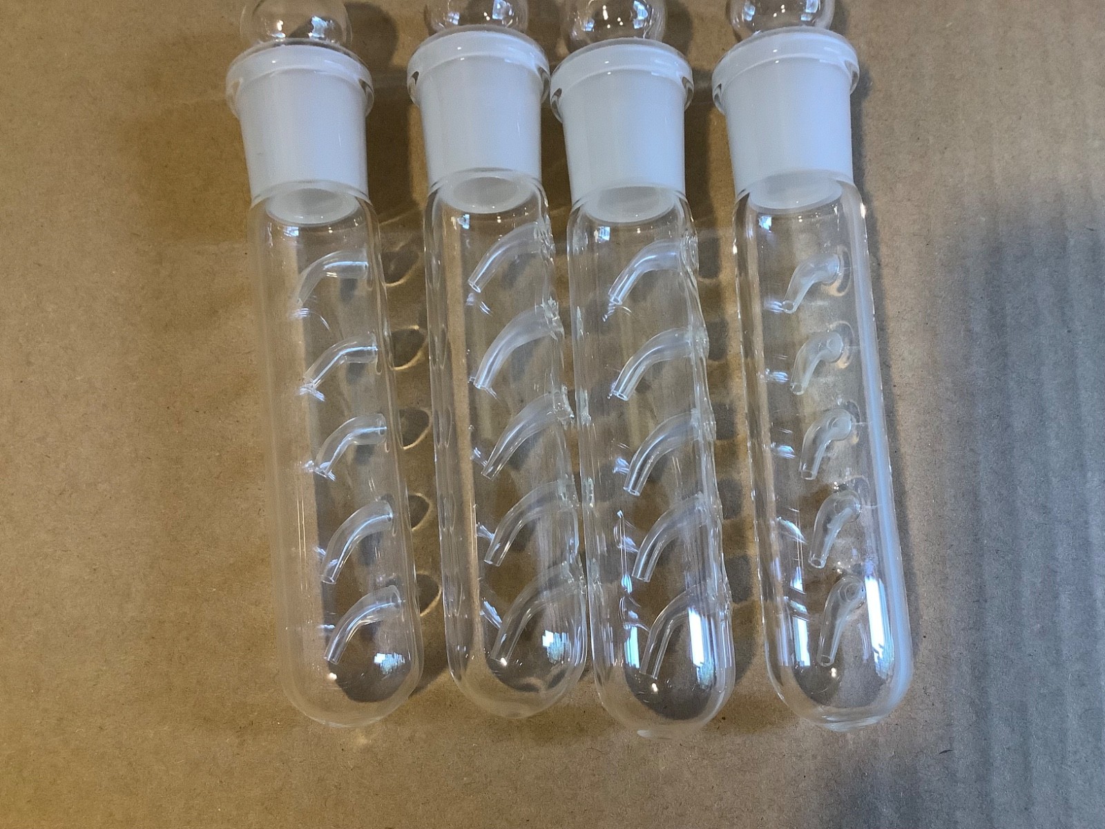 4 Pack Planaria Traps, Clear Glass