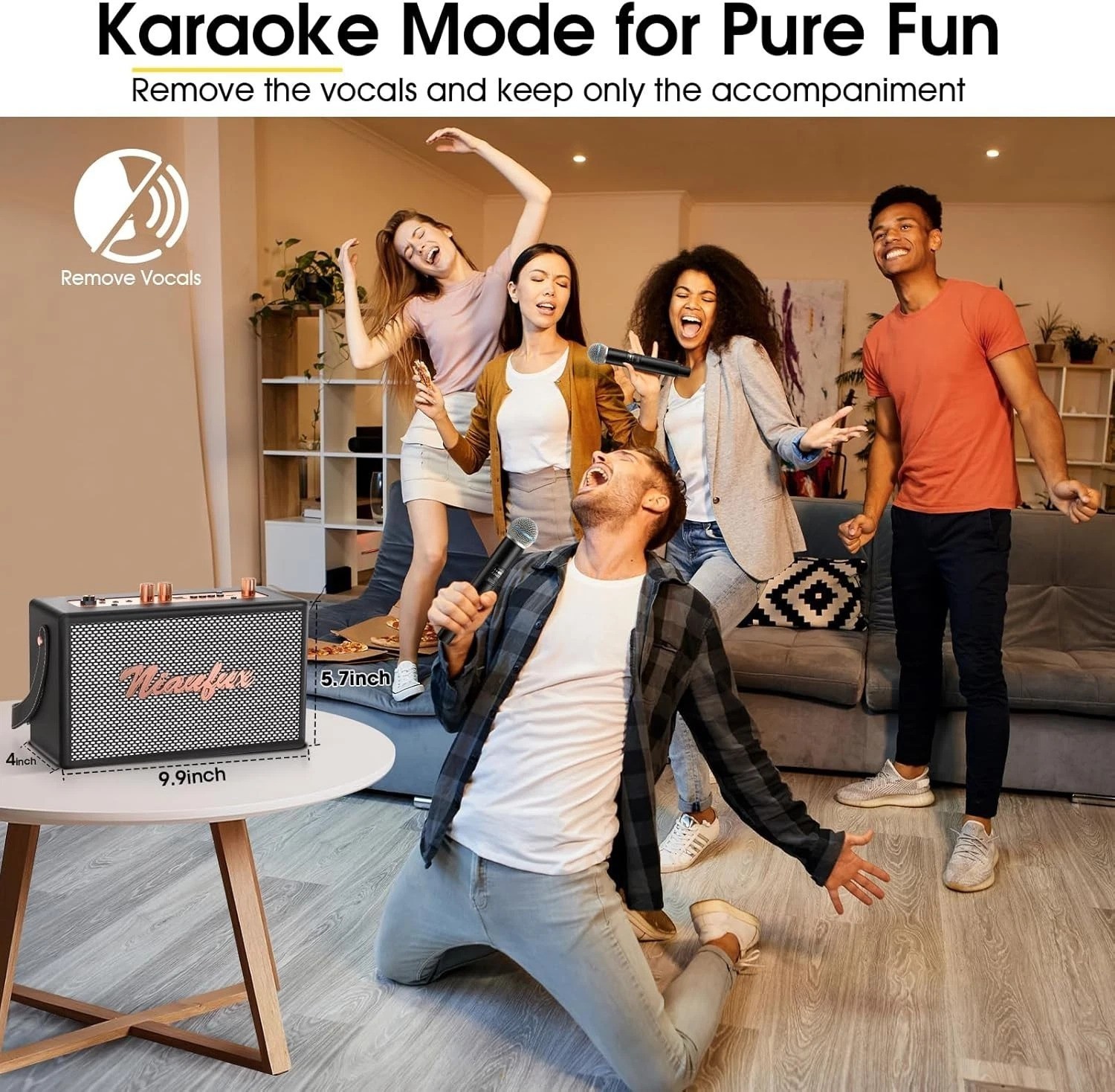 Portable Karaoke System with 2 Microphones