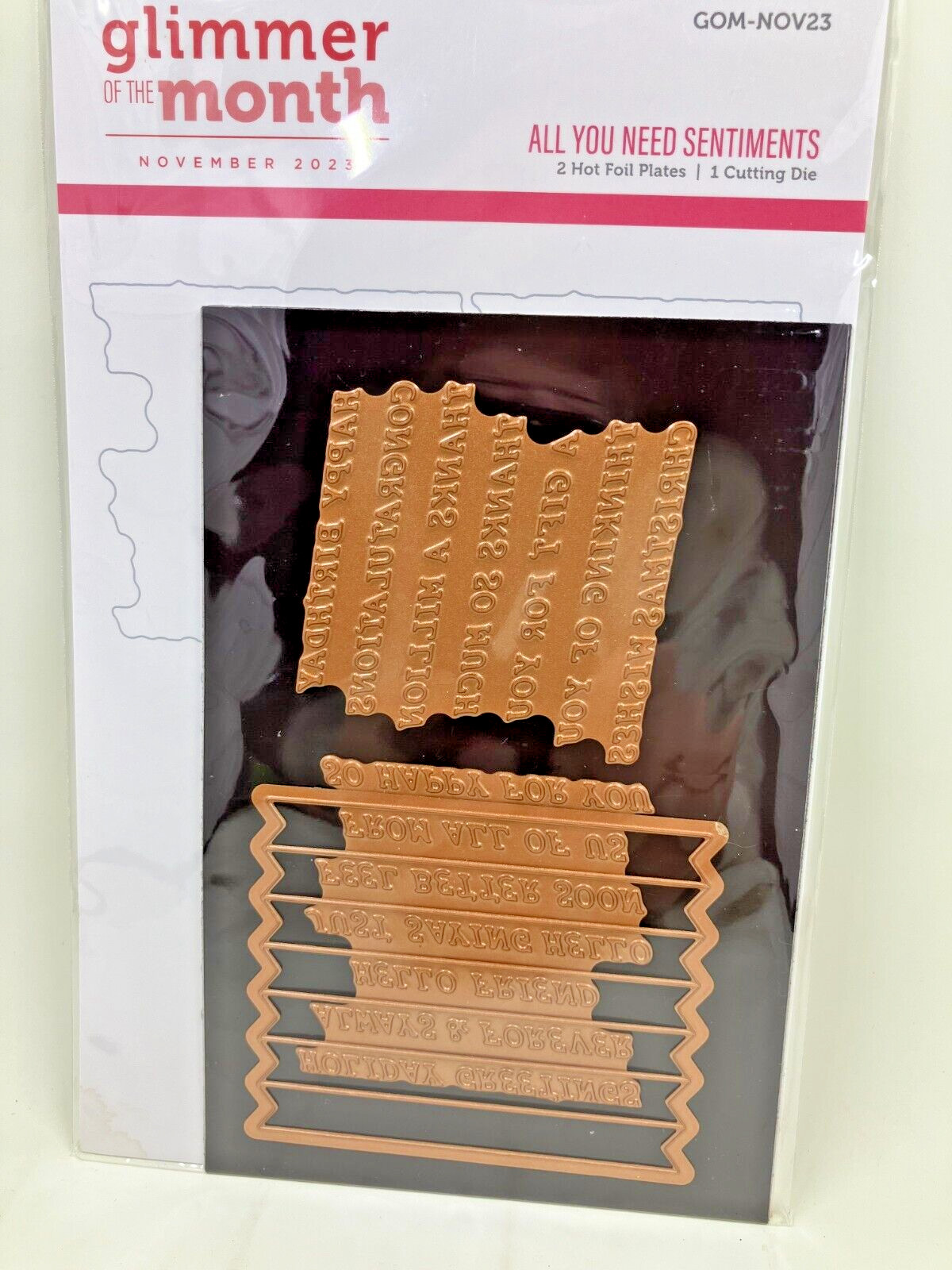 SPELLBINDERS GLIMMER PLATE OF THE MONTH- NOVEMBER 2023- "ALL YOU NEED SENTIMENTS