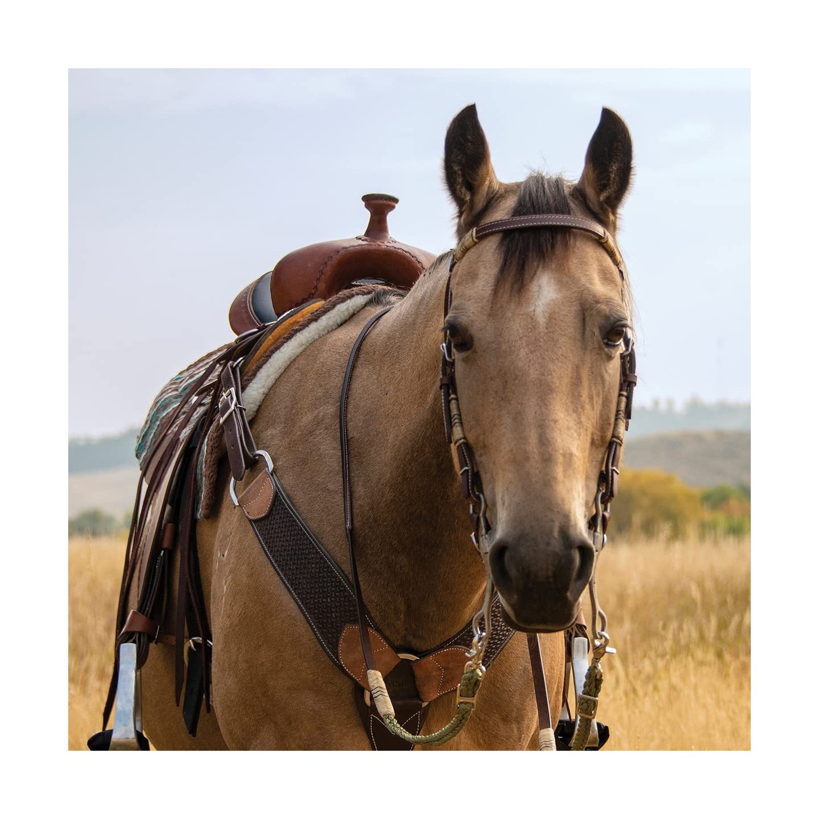 Cashel Rawhide Browband Headstall Double Trim