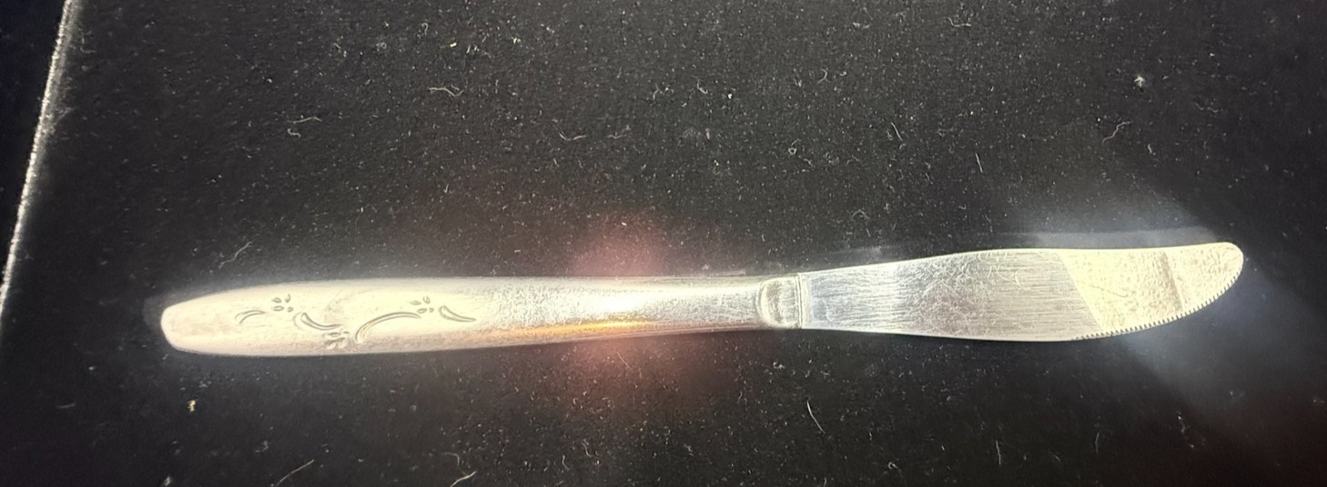 Mardi Gras Stainless Steel 8 1/4" Modern Solid Knife International Silver