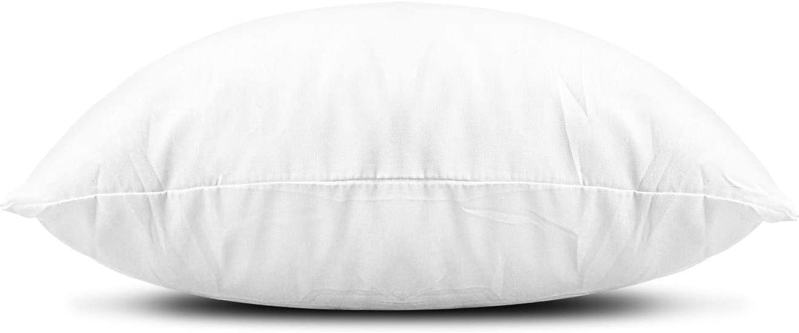EDOW Throw Pillow Inserts, Set of 2 Lightweight down Alternative Polyester Pillo