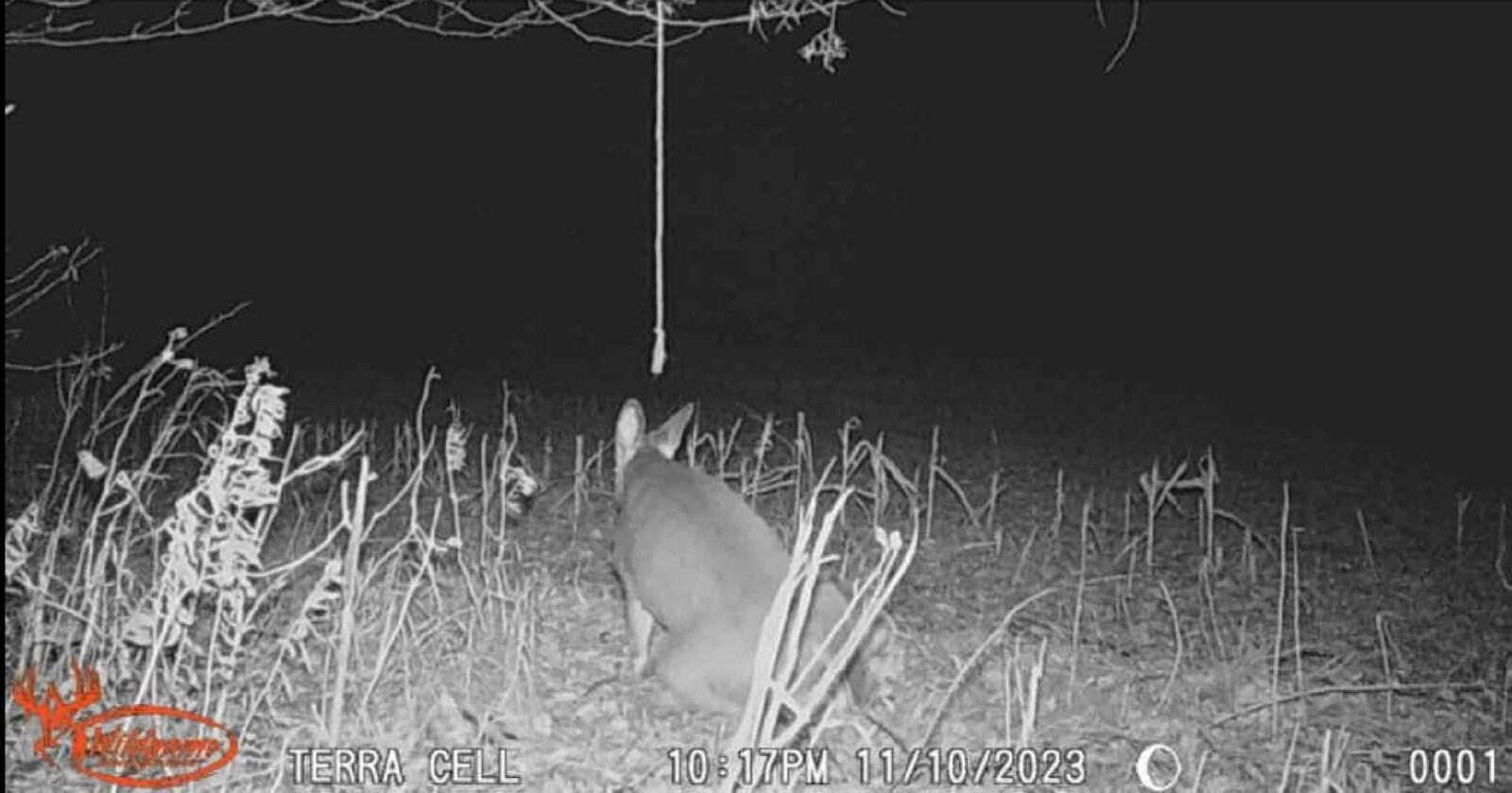 deer attractant Rope Kit! Free Shipping!